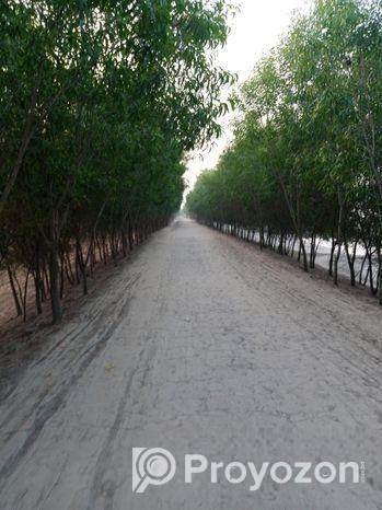 জমি বিক্রি