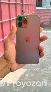 Apple iPhone 13 Pro Max (Used)