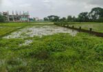 Land Sale