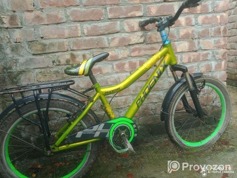 Phoenix Bicycle Sell