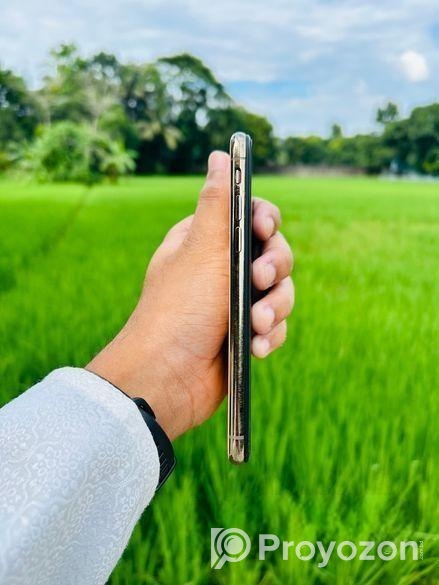 Apple iPhone XS Rose Gold 256GB (Used)