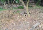 Urgent Land Sell.