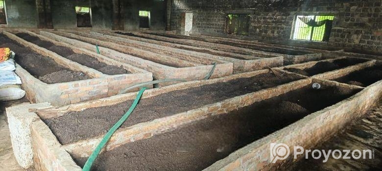 ভার্মিকম্পোস্ট / জৈব সার