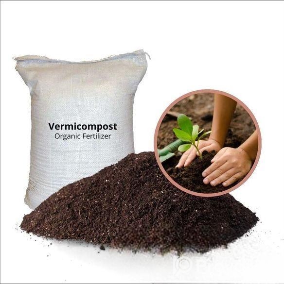 ভার্মিকম্পোস্ট / জৈব সার