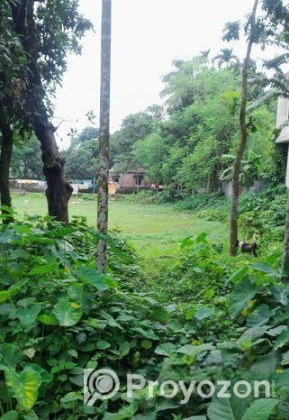 Extensive Land Sale Near Sks Inn Resort – Radhakri
