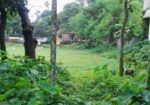 Extensive Land Sale Near Sks Inn Resort – Radhakri