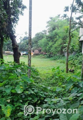 Extensive Land Sale Near Sks Inn Resort – Radhakri