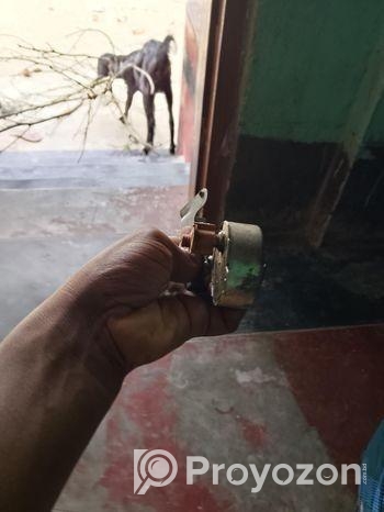 সিক্রোনাস মটোর