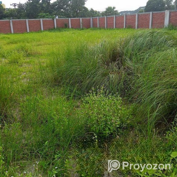 নিরিবিলি পরিবেশে বাড়ি করার উপযোগী @ তিন /পাচ / ১০ কাঠা প্লট বিক্