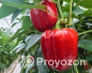 fitted-2025-09-07T220944.819_2025-09-07_22-12-19