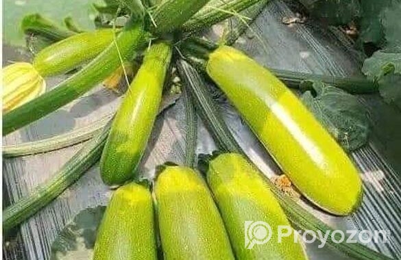 স্কোয়াস বীজ