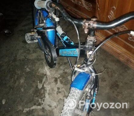 Duronto Cycle