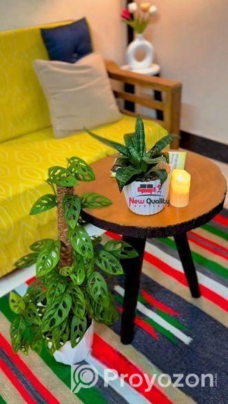 কফি টেবিল ফুল ক্যাশ অন ডেলিভারি, সারা বাংলাদেশ