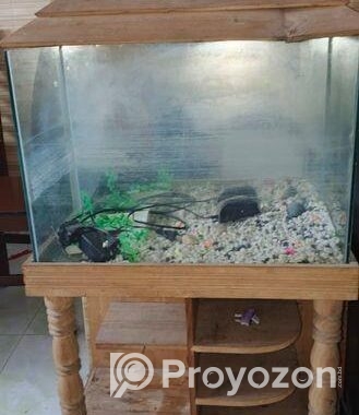 Aquarium