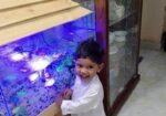 Aquarium