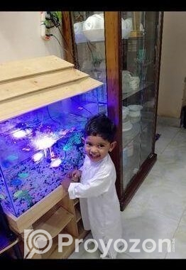Aquarium