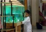 Aquarium