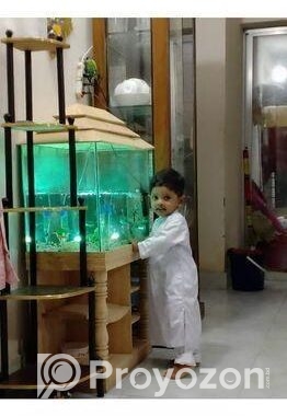 Aquarium