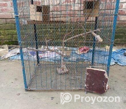 সকল প্রকার পাখি পালনের জন্য পাখির খাঁচা বিক্রিয়া করা হবে,,,