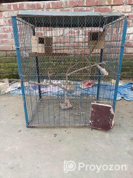 সকল প্রকার পাখি পালনের জন্য পাখির খাঁচা বিক্রিয়া করা হবে,,,