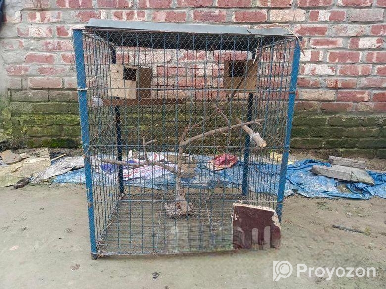 সকল প্রকার পাখি পালনের জন্য পাখির খাঁচা বিক্রিয়া করা হবে,,,