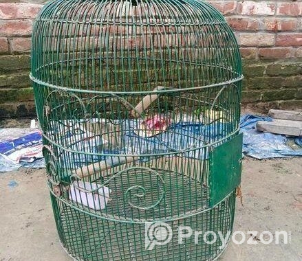 পাখি জন্য খাঁচা,,,, সেল,,