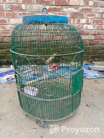 পাখি জন্য খাঁচা,,,, সেল,,