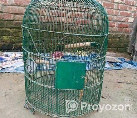 পাখি জন্য খাঁচা,,,, সেল,,