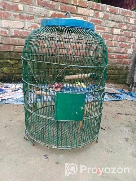 পাখি জন্য খাঁচা,,,, সেল,,