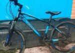 Duranta Bicycle for sale