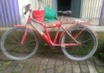 Duranta Bicycle for sale