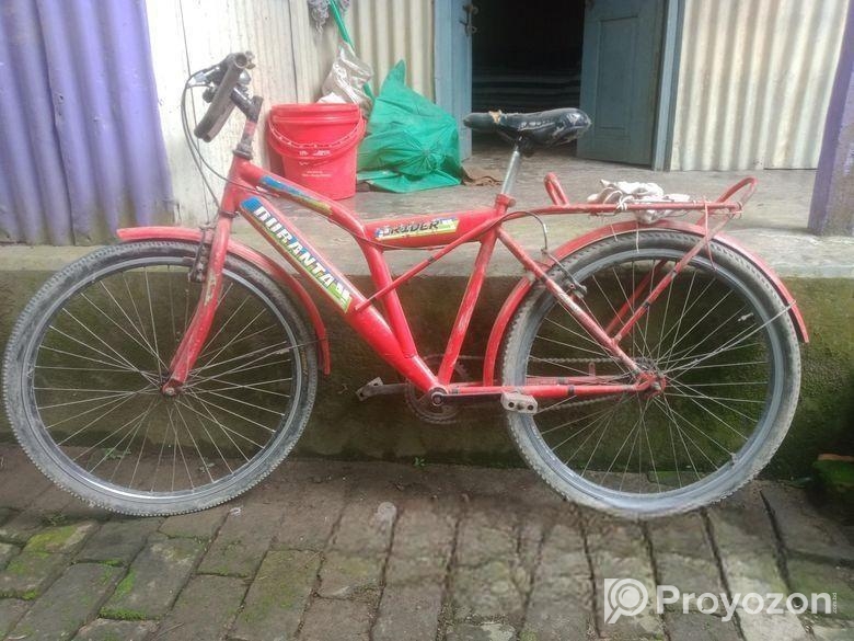 Duranta Bicycle for sale