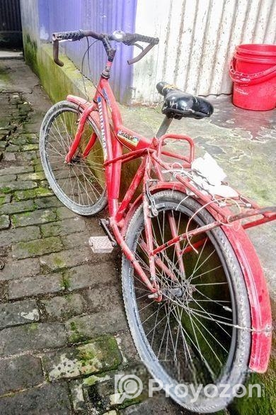 Duranta Bicycle for sale