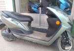 Green Tiger GT FENIX 2024