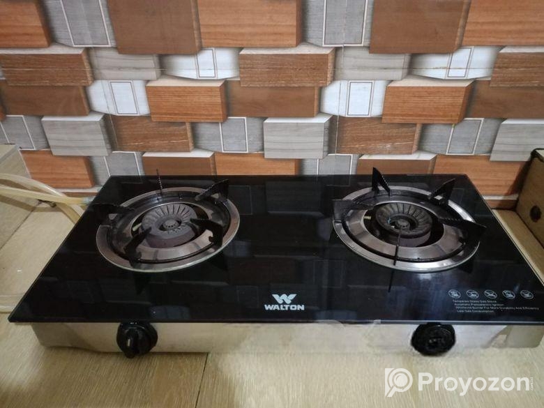 Glass Protected Gas Stove Double Burner