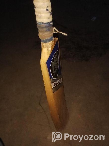 ক্রিকেট বেট