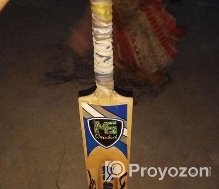 ক্রিকেট বেট