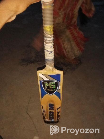 ক্রিকেট বেট