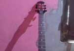 Gitar SELL Hobe