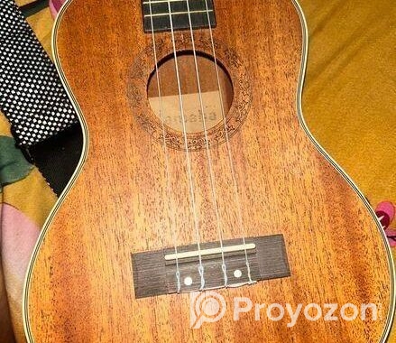 Ukulele: Yamaha Tenor Ukya-26 ইউকেলিলি সেল করা হবে