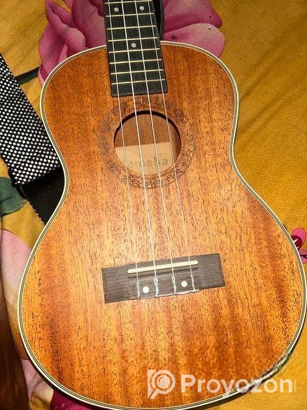 Ukulele: Yamaha Tenor Ukya-26 ইউকেলিলি সেল করা হবে