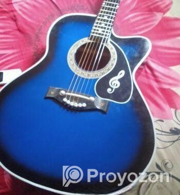 গিটার বিক্রি