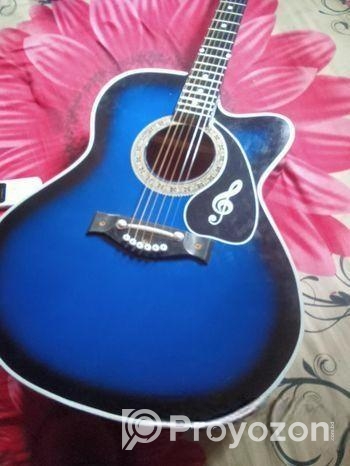 গিটার বিক্রি