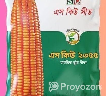 ভুট্টার বীজ