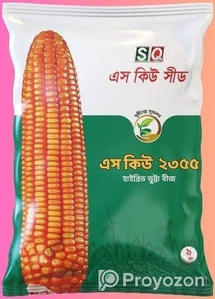 ভুট্টার বীজ