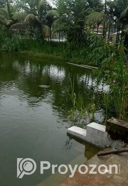 খামার সহ জমি বিক্রি হবে