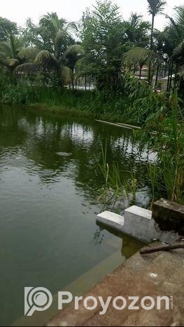 খামার সহ জমি বিক্রি হবে