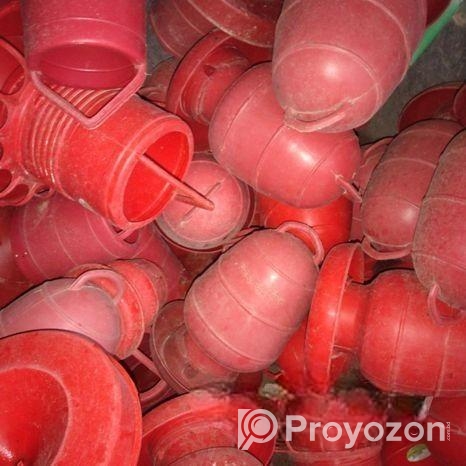 মুরগির খাবার ও পানির পাত্র