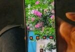 Realme 8 জরুরি সেল (Used)
