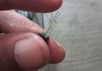 Optical fiber